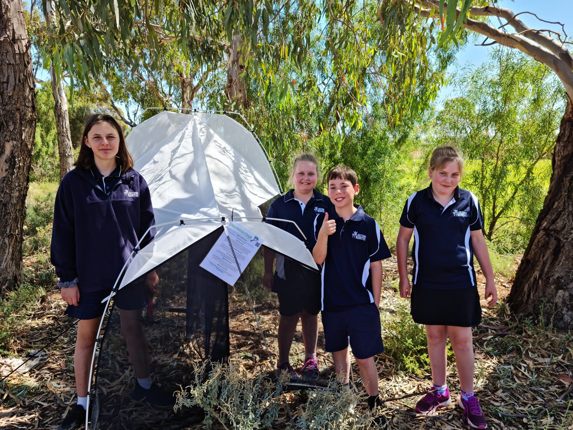 State insect identification project takes award win