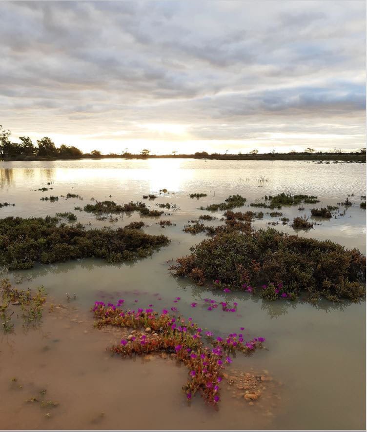 Eye on Riverland campsites