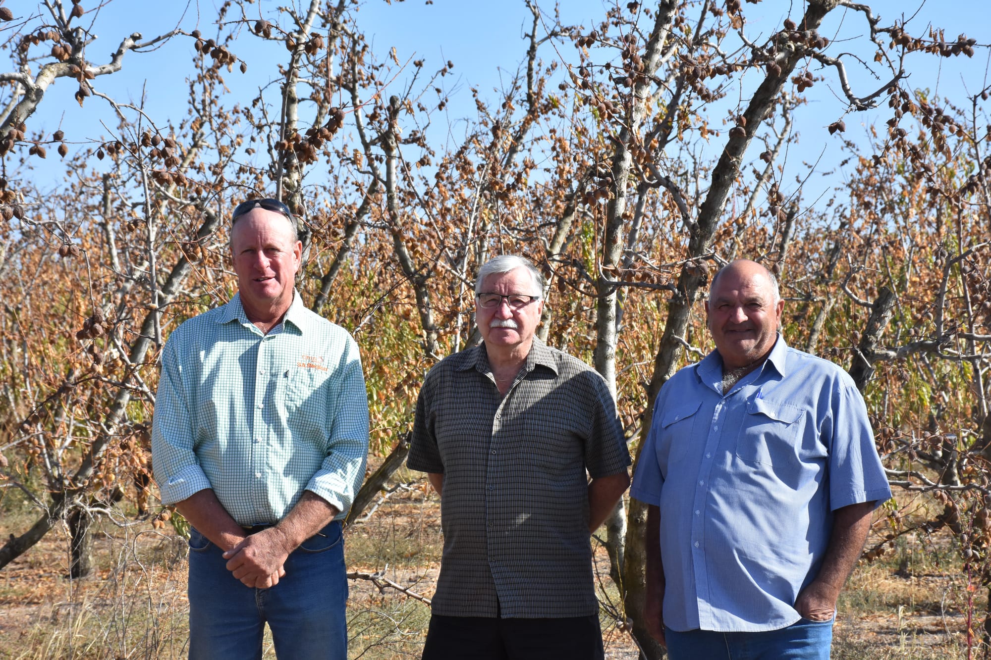 Local growers, mayor, react to federal Labor’s water policy… (Buy) Back-off