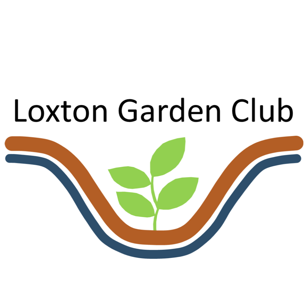 Garden Club’s helping hand