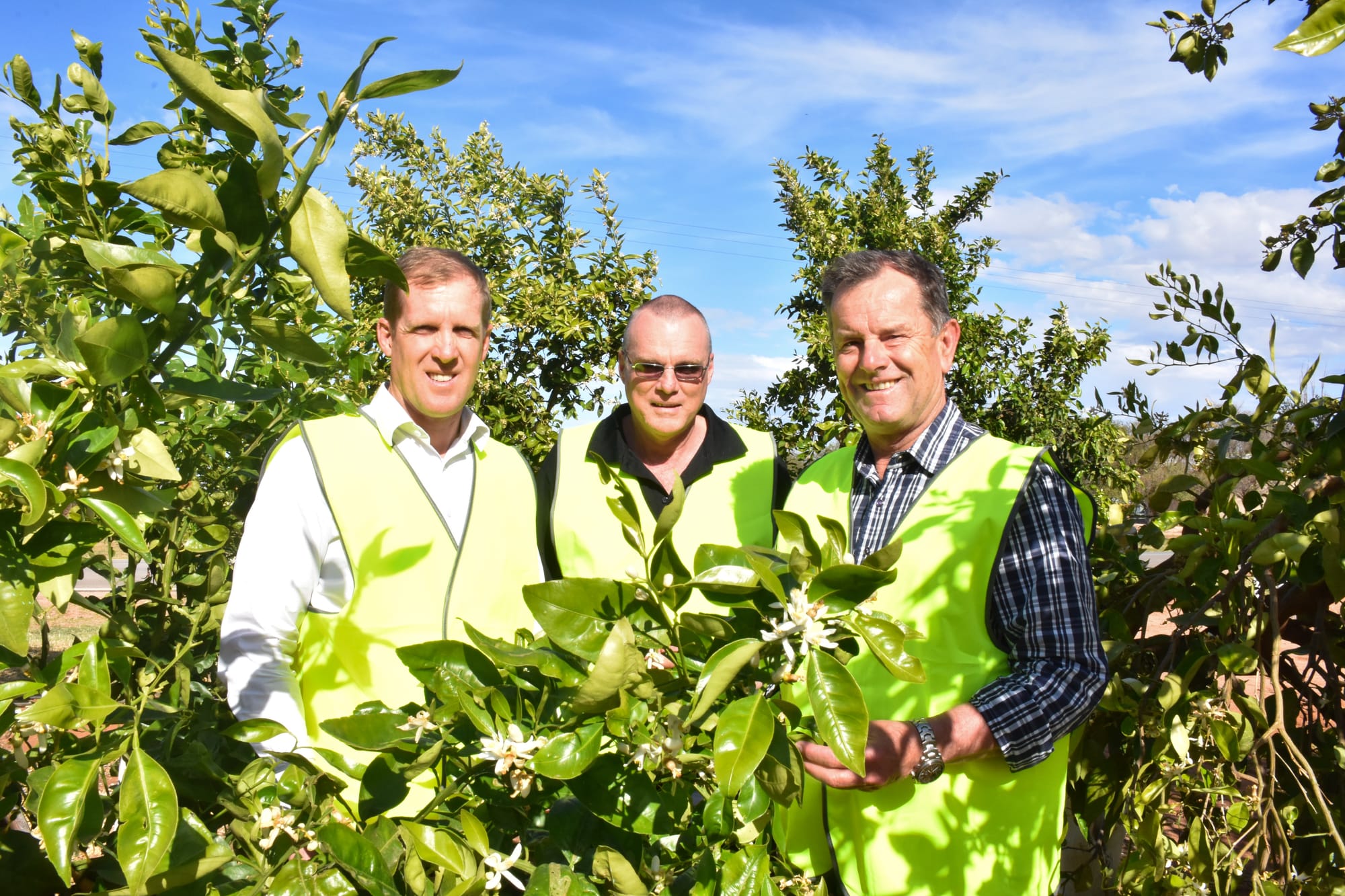 Pat-terson on the back for our citrus industry