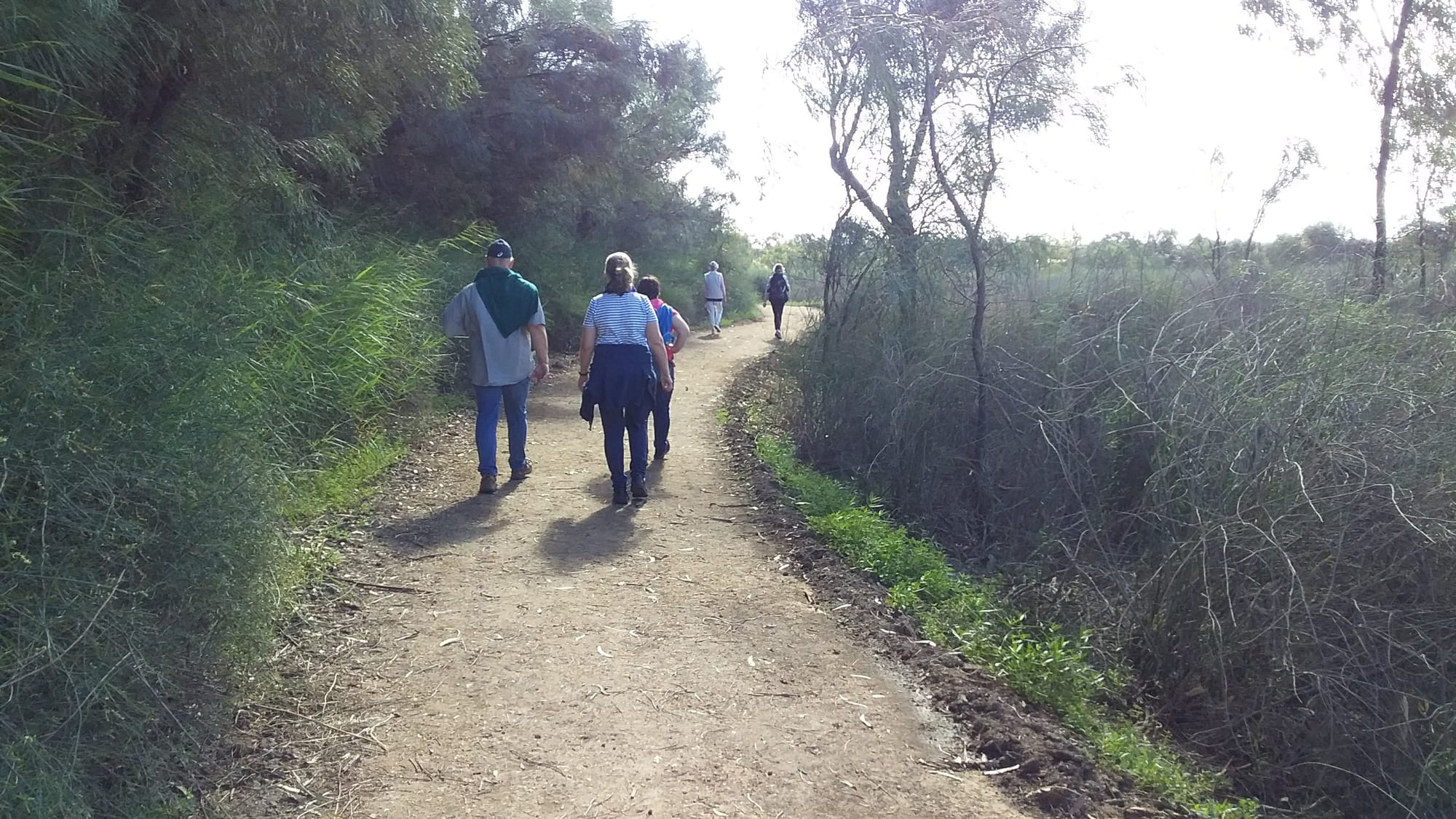 Landcare group showcasing Riverland’s natural beauty