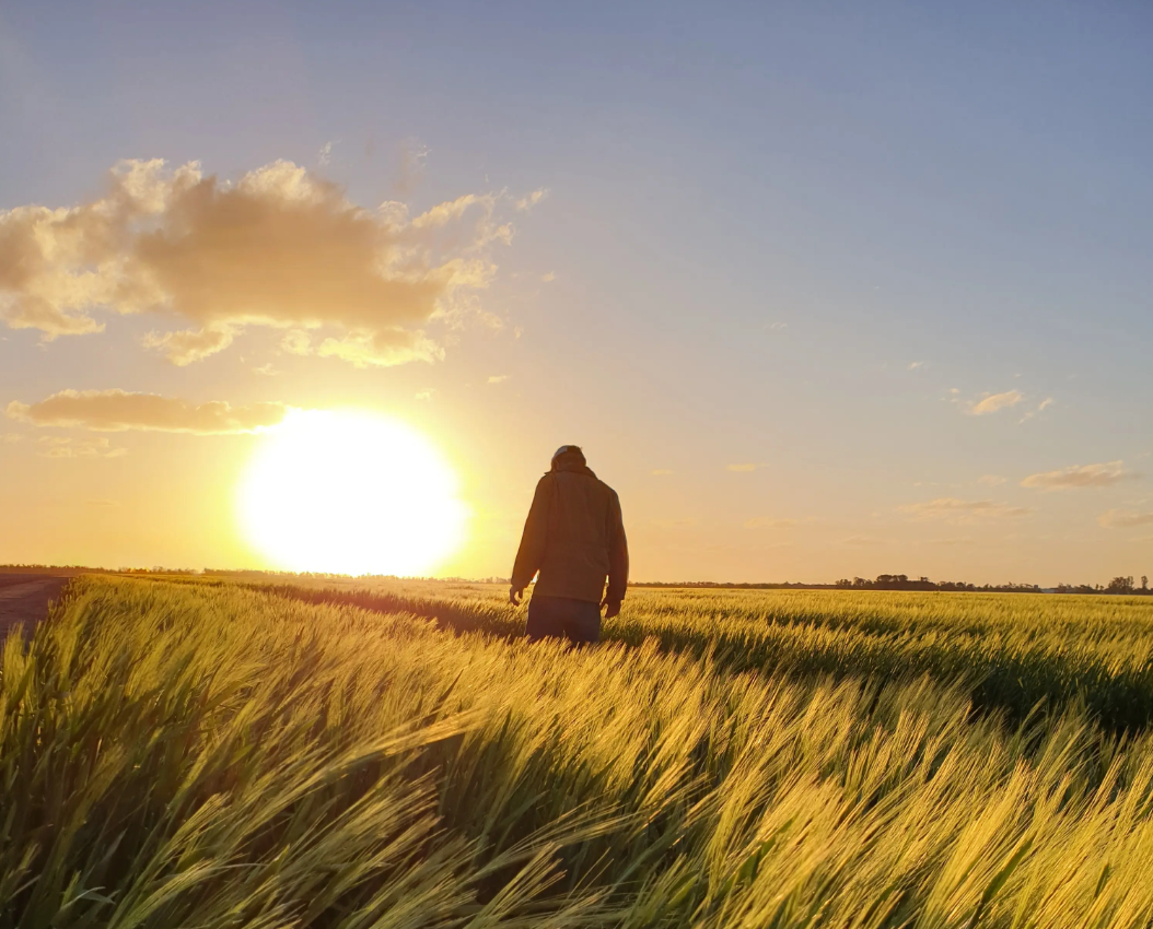 Applications open for new grain research group