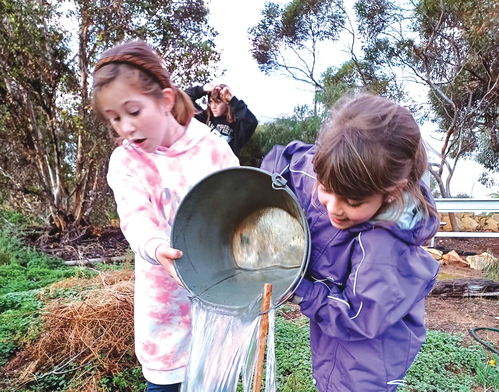 Come along and join in on Tree Day