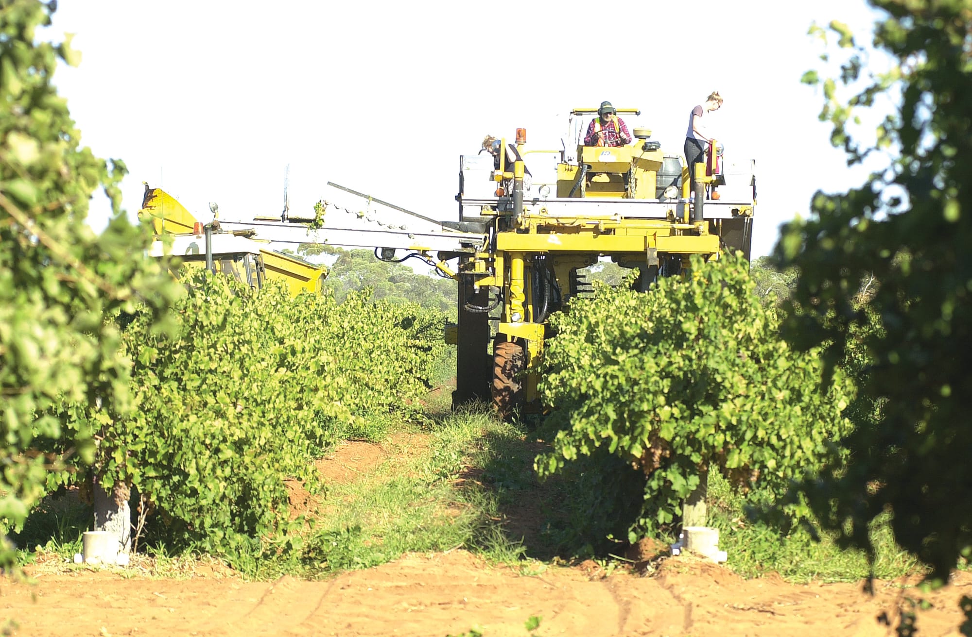 Annual ag town award nominations open