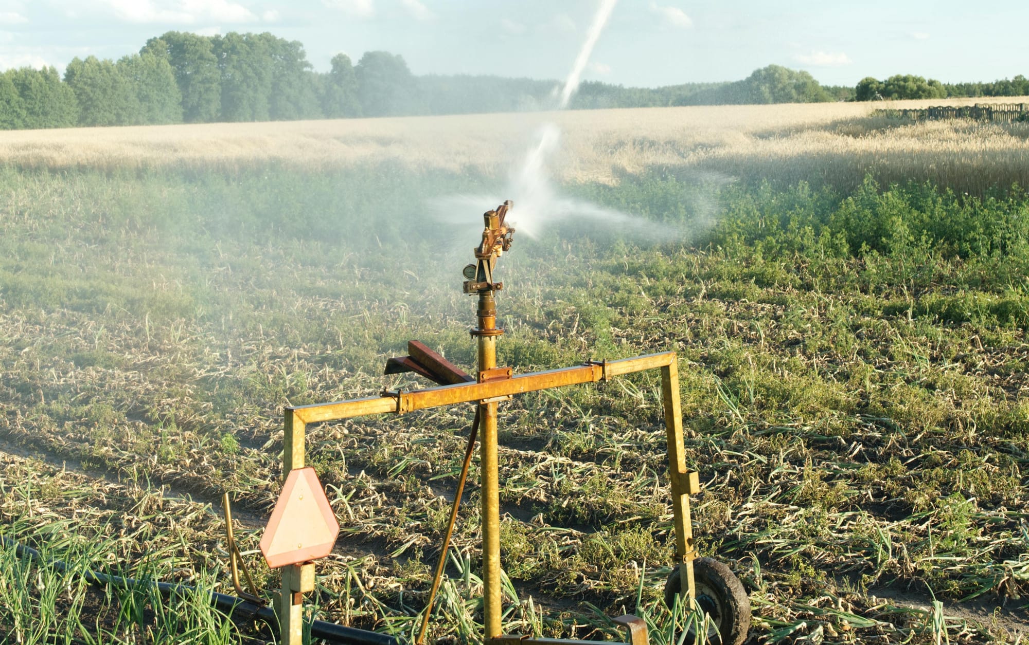 Irrigators: Long-term mismanagement to blame