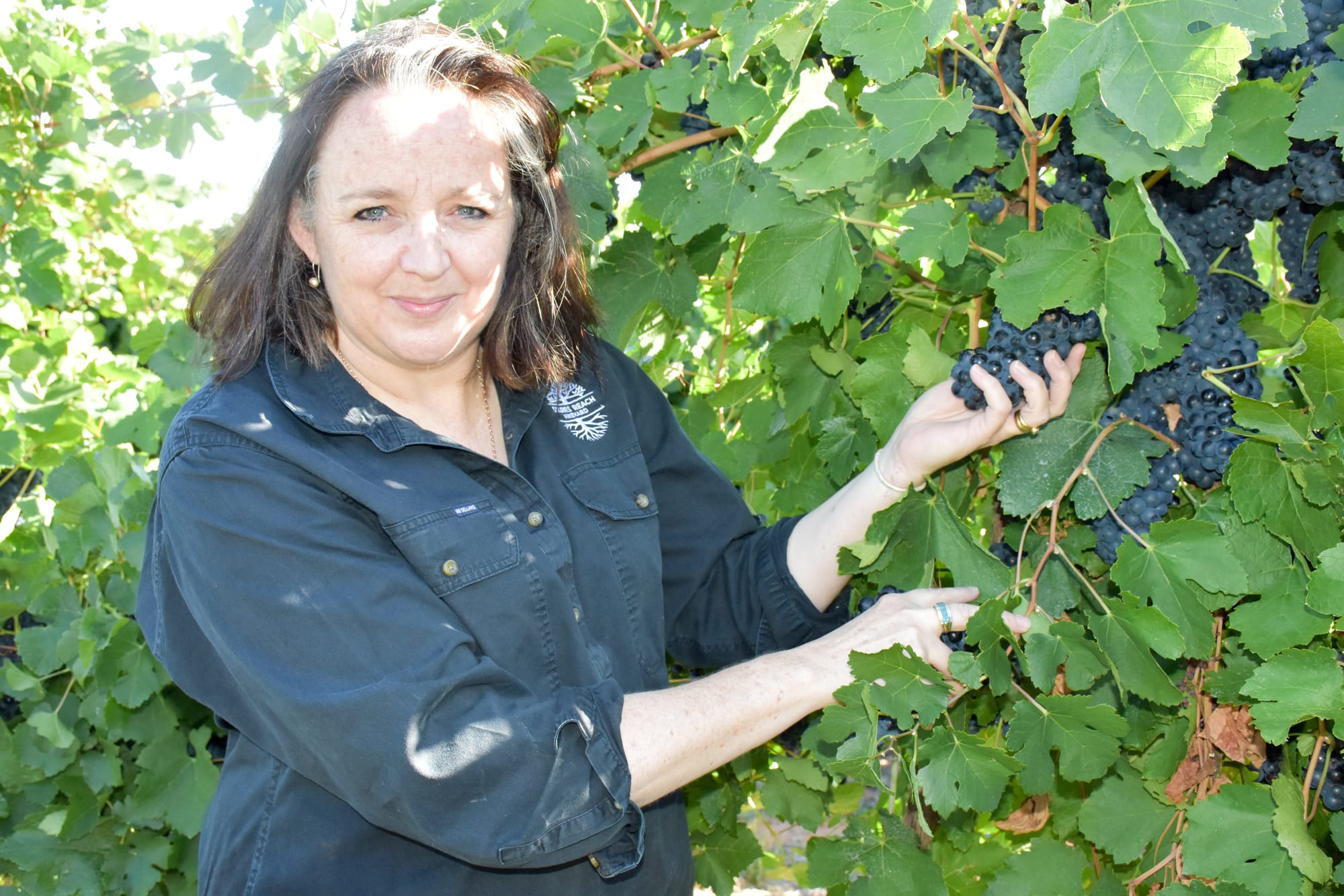 US wine Market Entry Program opening doors