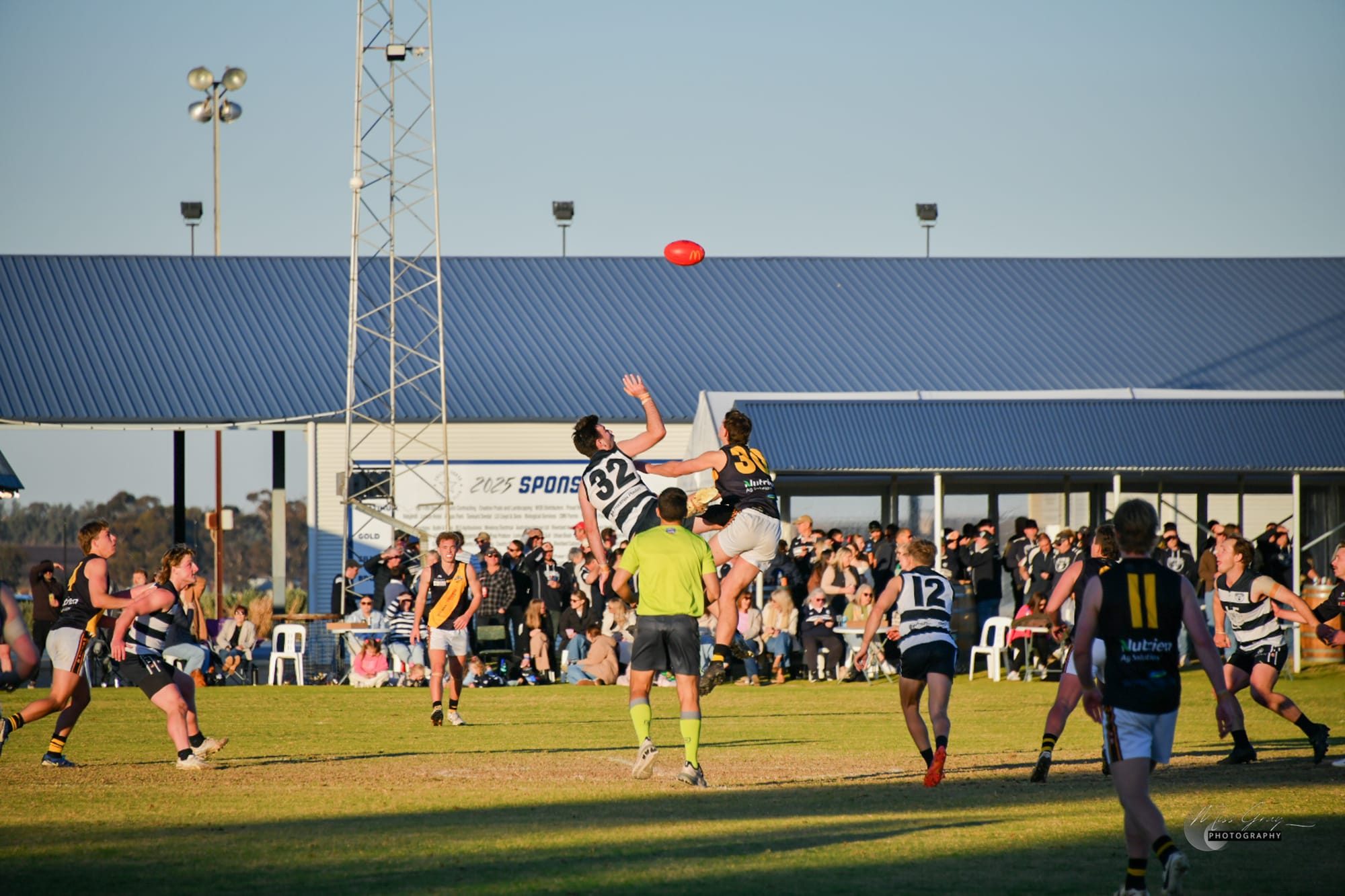 North deliver Tigers a knockout blow