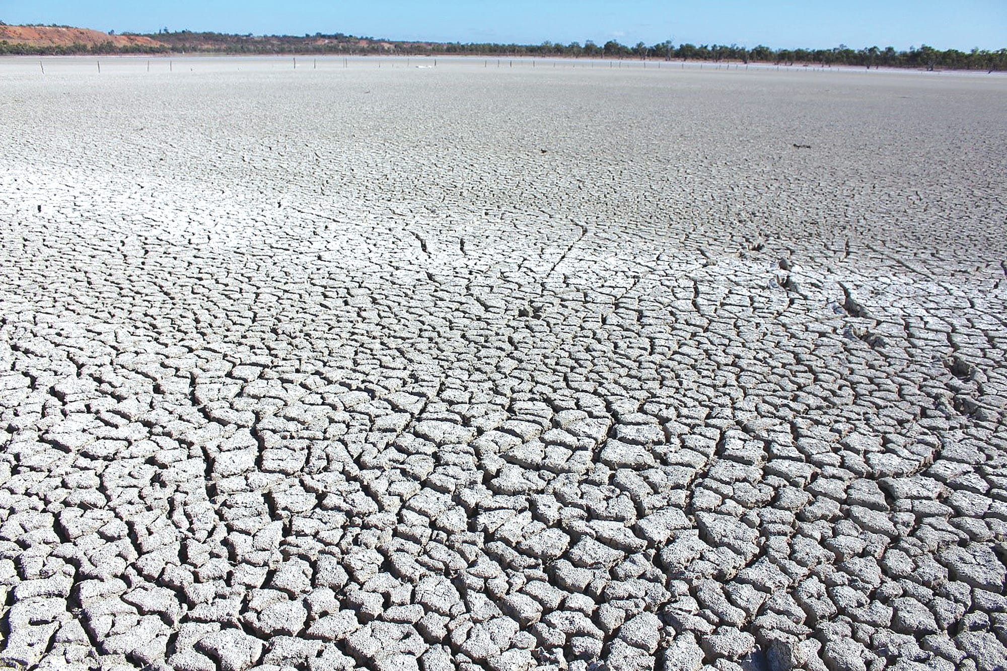Drying phase set to begin for local lagoons