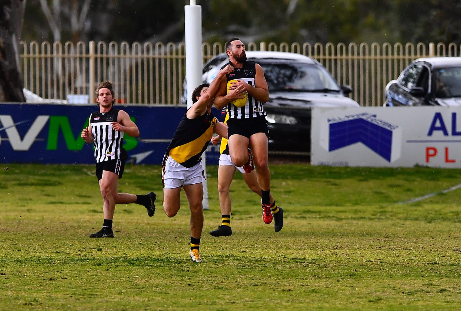 Tigers vs Pies: Here we go again