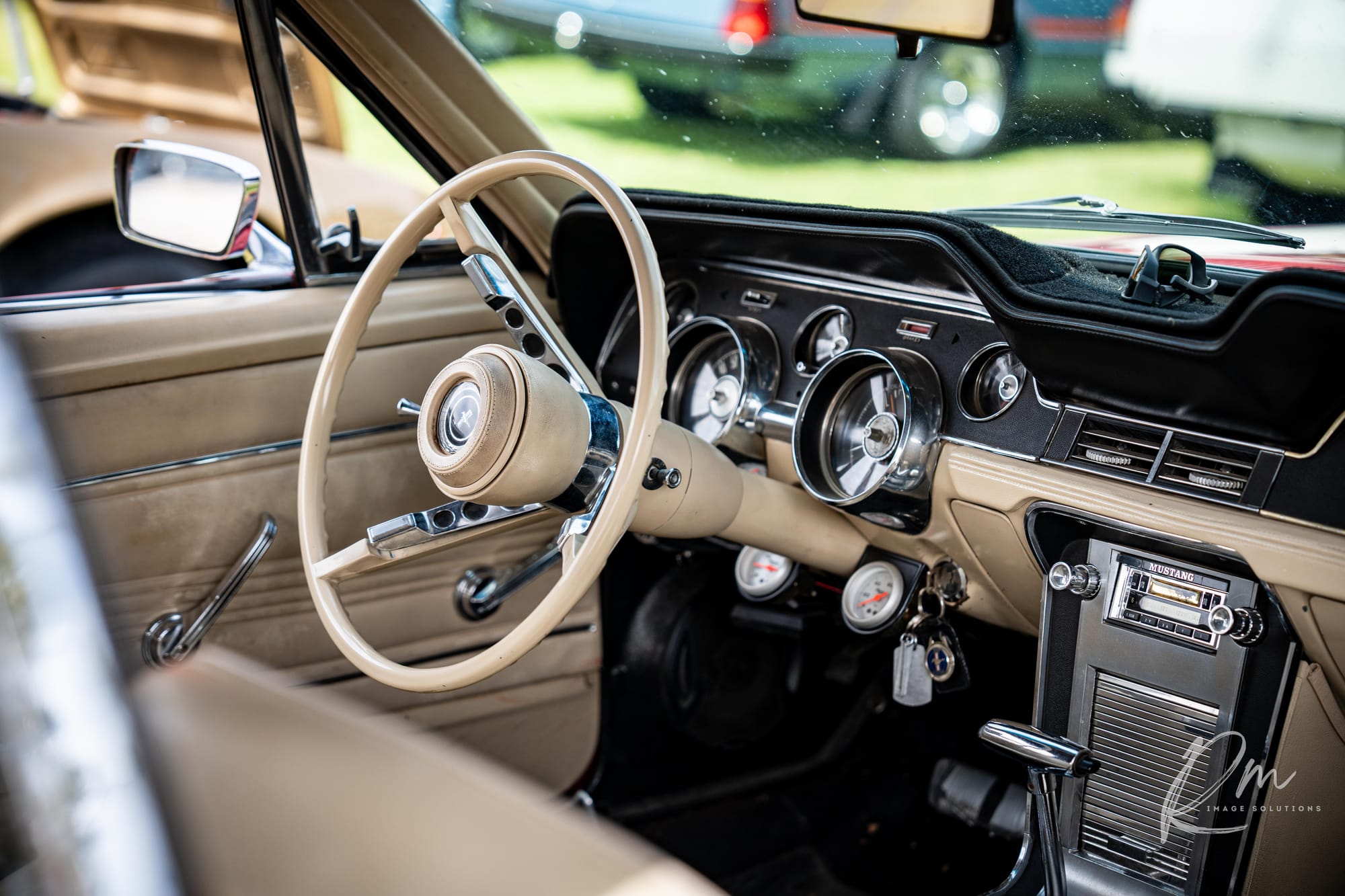 2024 Cruise for Cancer report