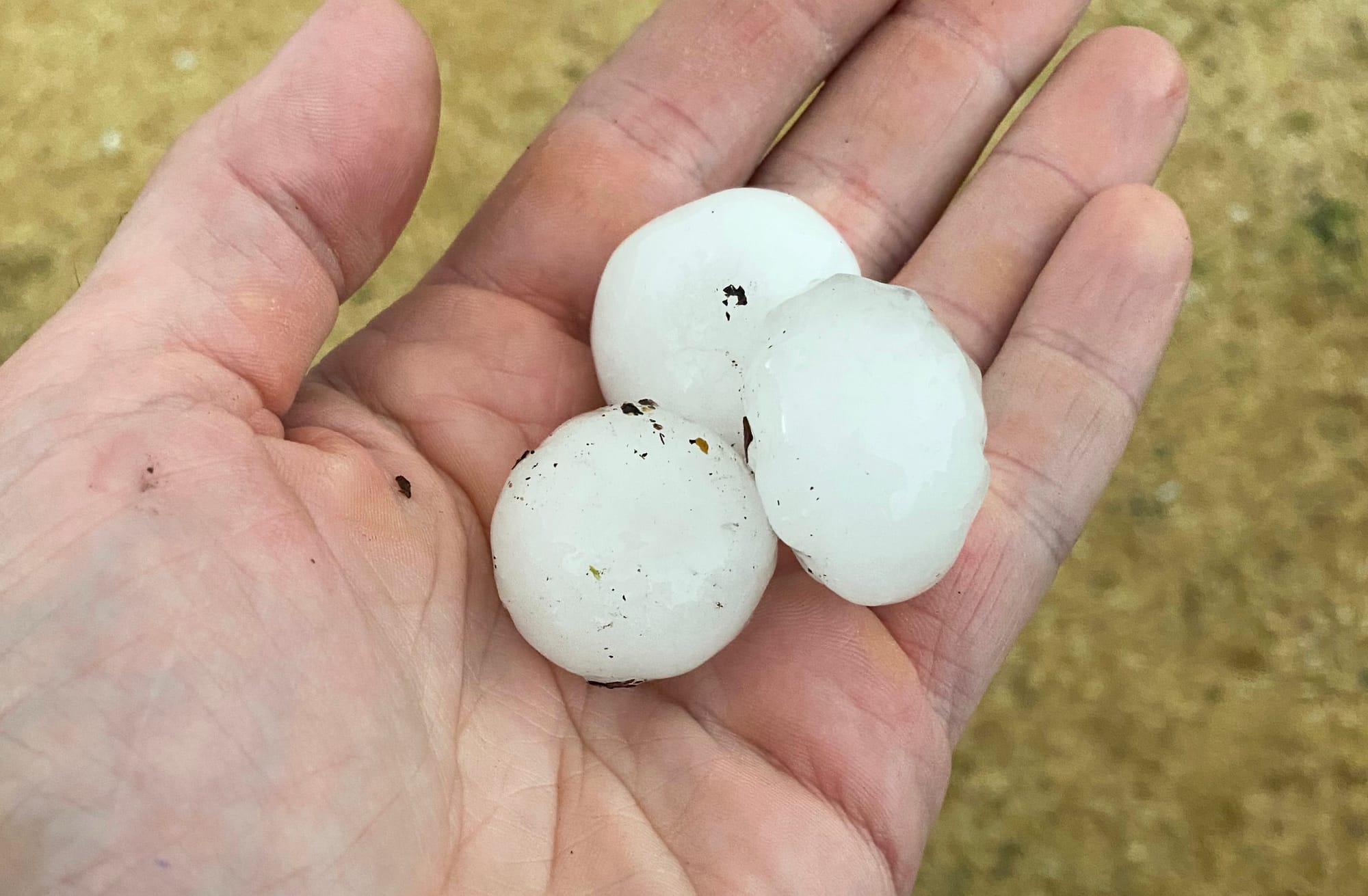 ‘Big blow’ for local stone fruit industry