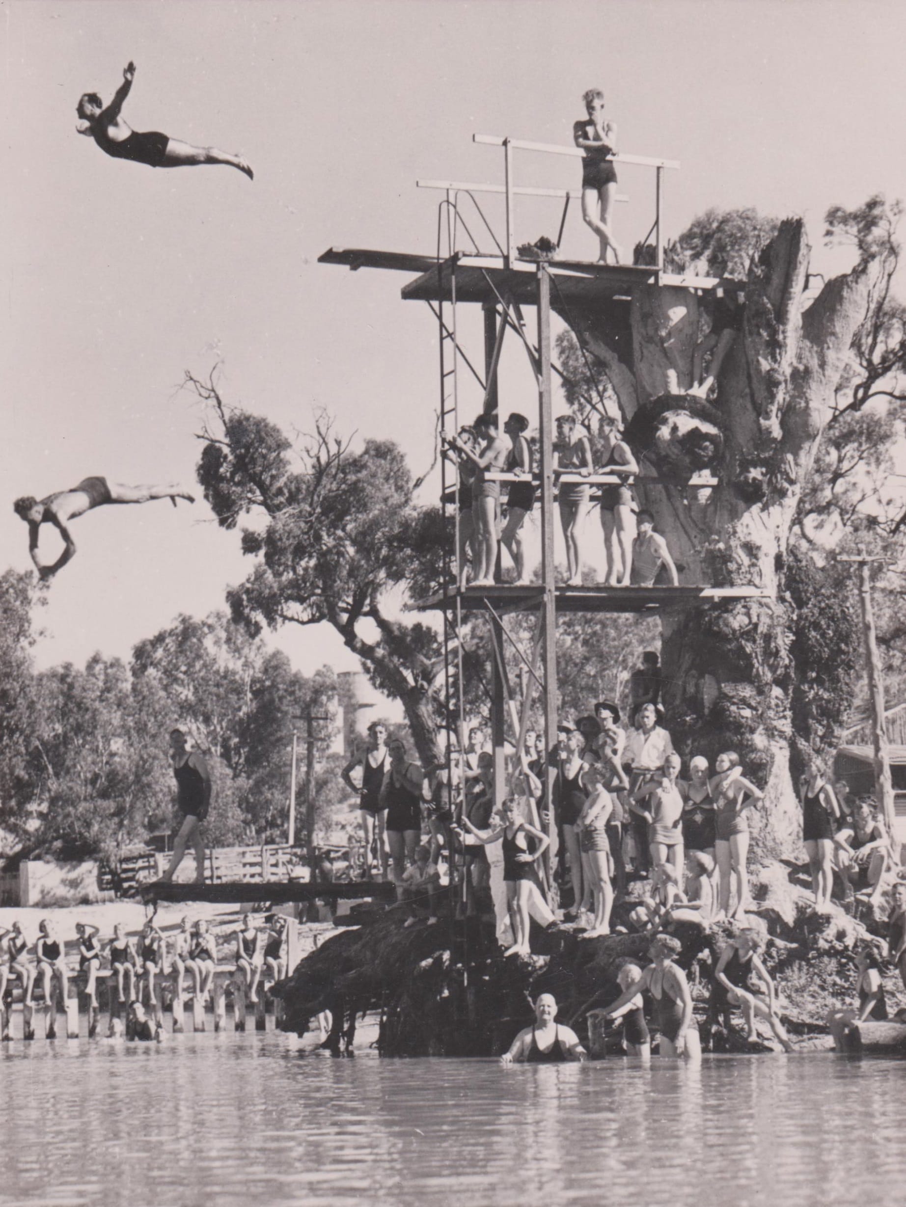 Historical Society: Waikerie Swimming Club c.1930 to 1956