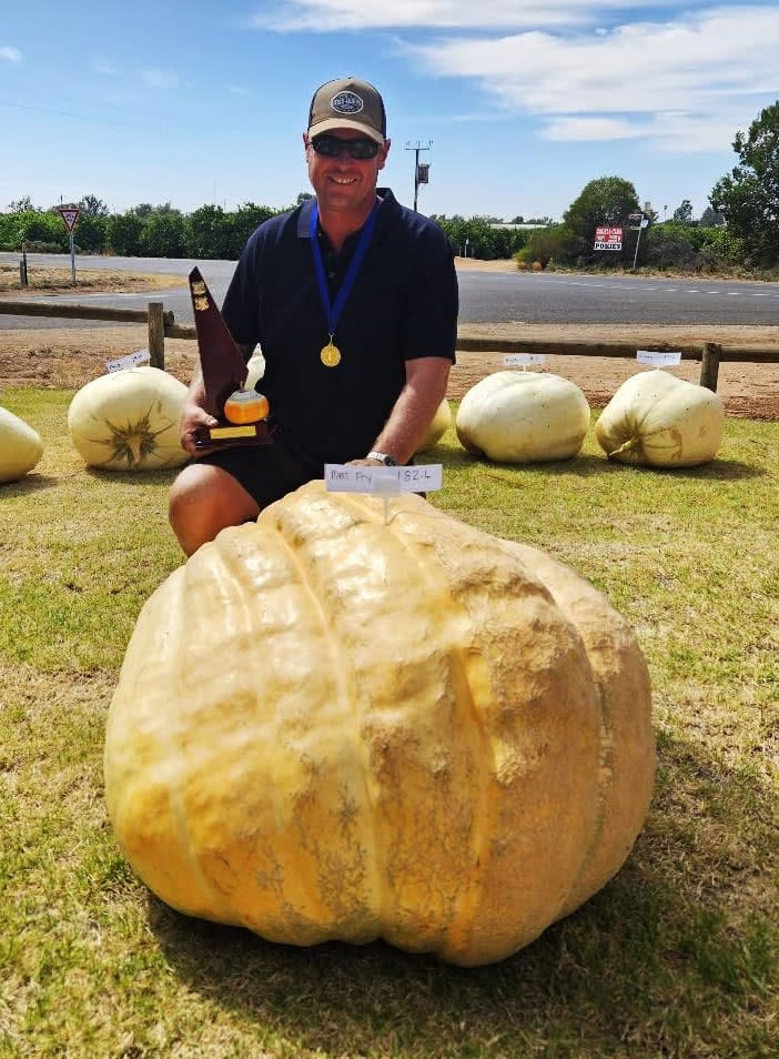 Cadell’s pumpkin and sunflower comp a hit