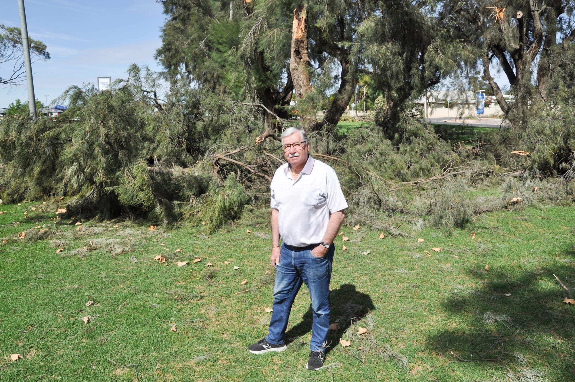 Neighbouring councils chip in for storm clean-up