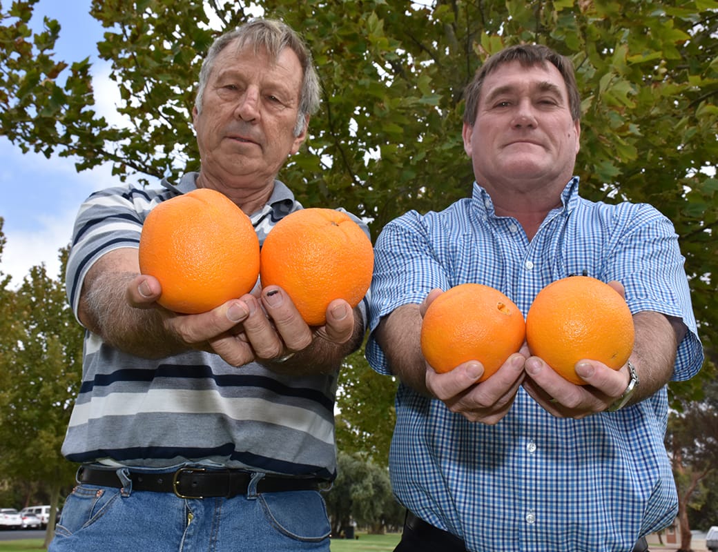 Fruit fly quarantines set to end