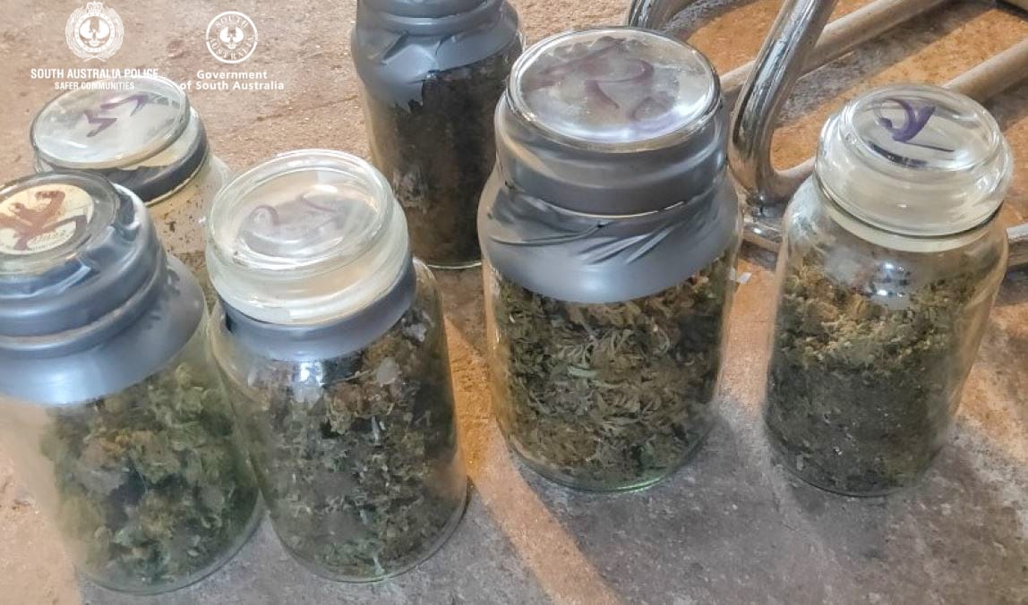 Police in cannabis, meth bust