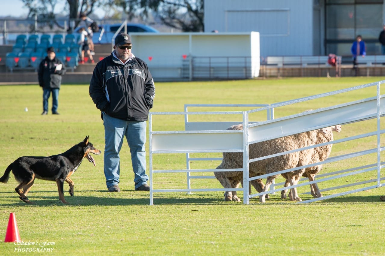 Serious-Lee, trial star Mickan does it again