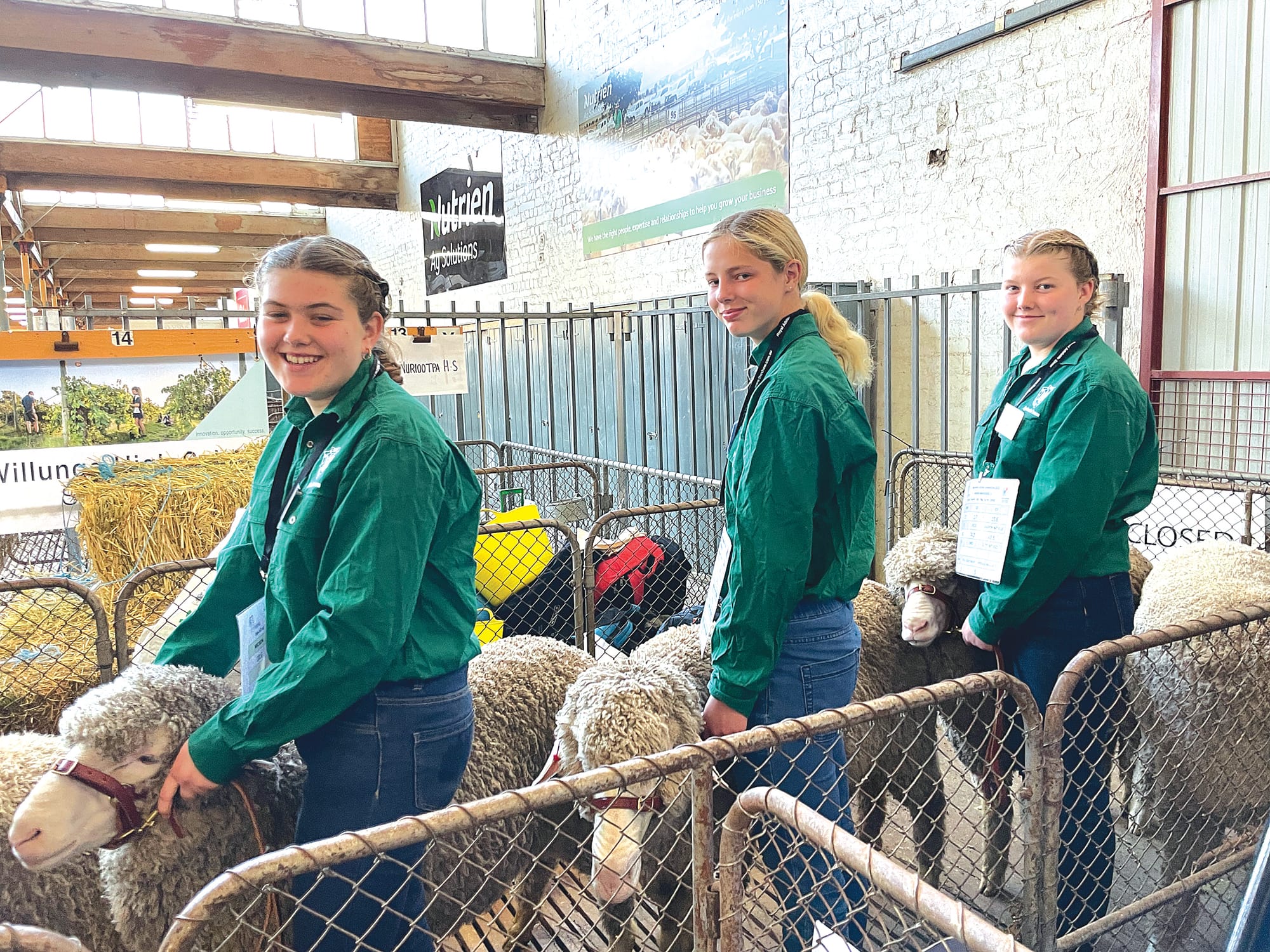 Waikerie’s sheep and citrus ambassadors