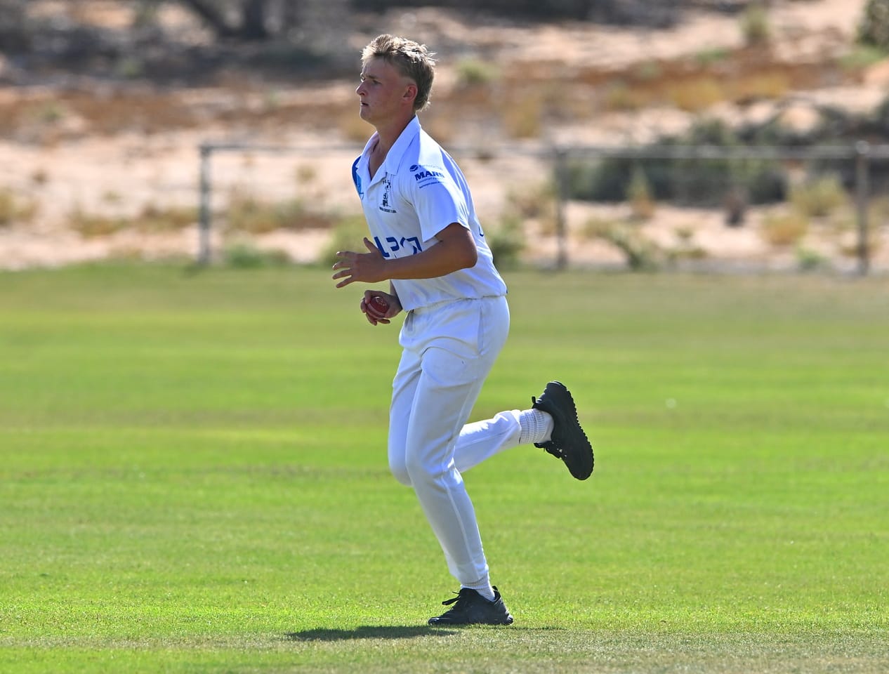 Shep shines for state second XI