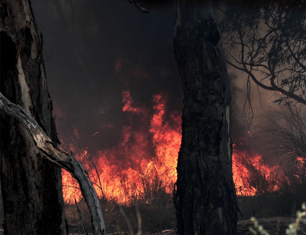 Bushfires remain a risk this summer, warns Tim