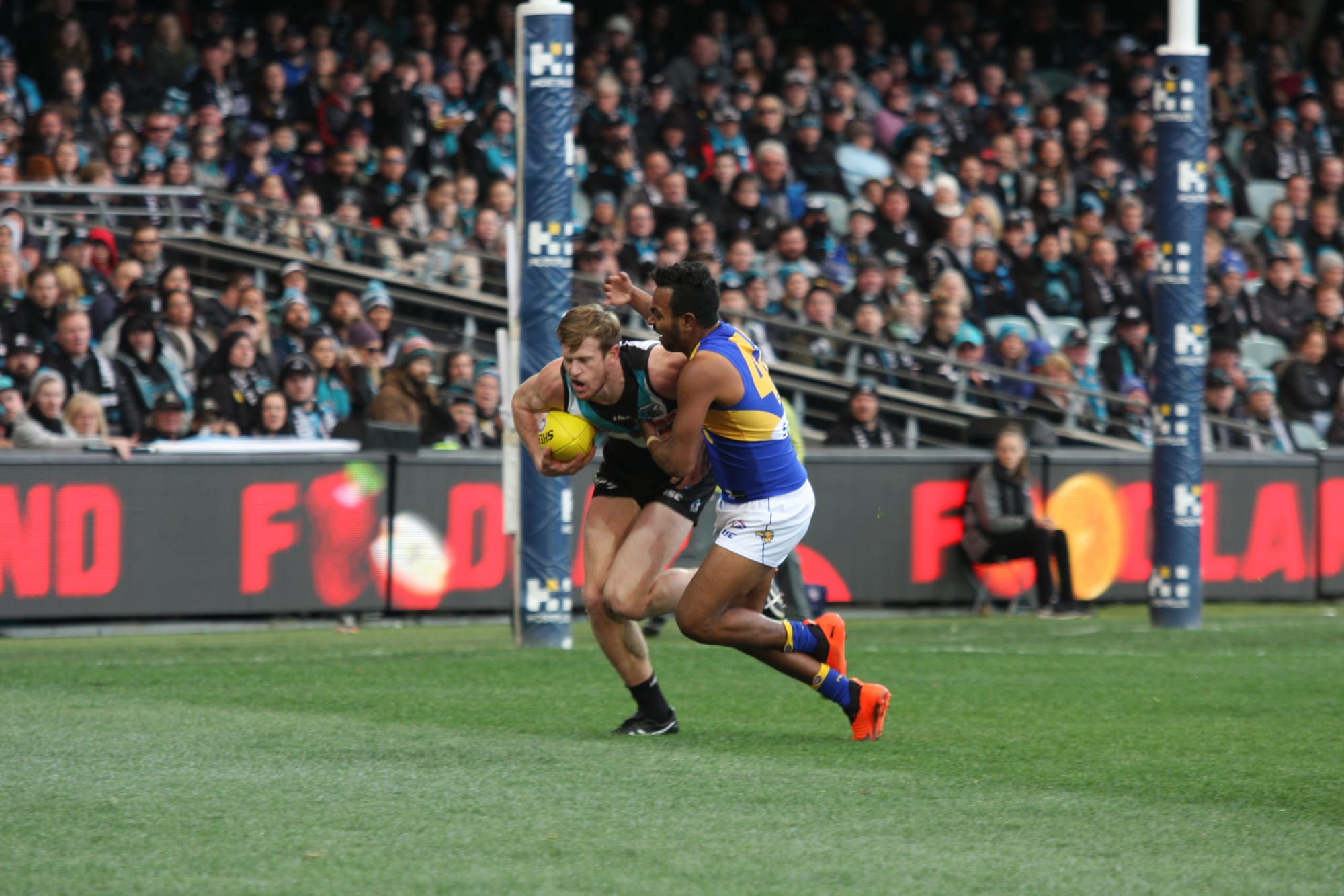 Bulldogs welcome footy stars to Wunkar