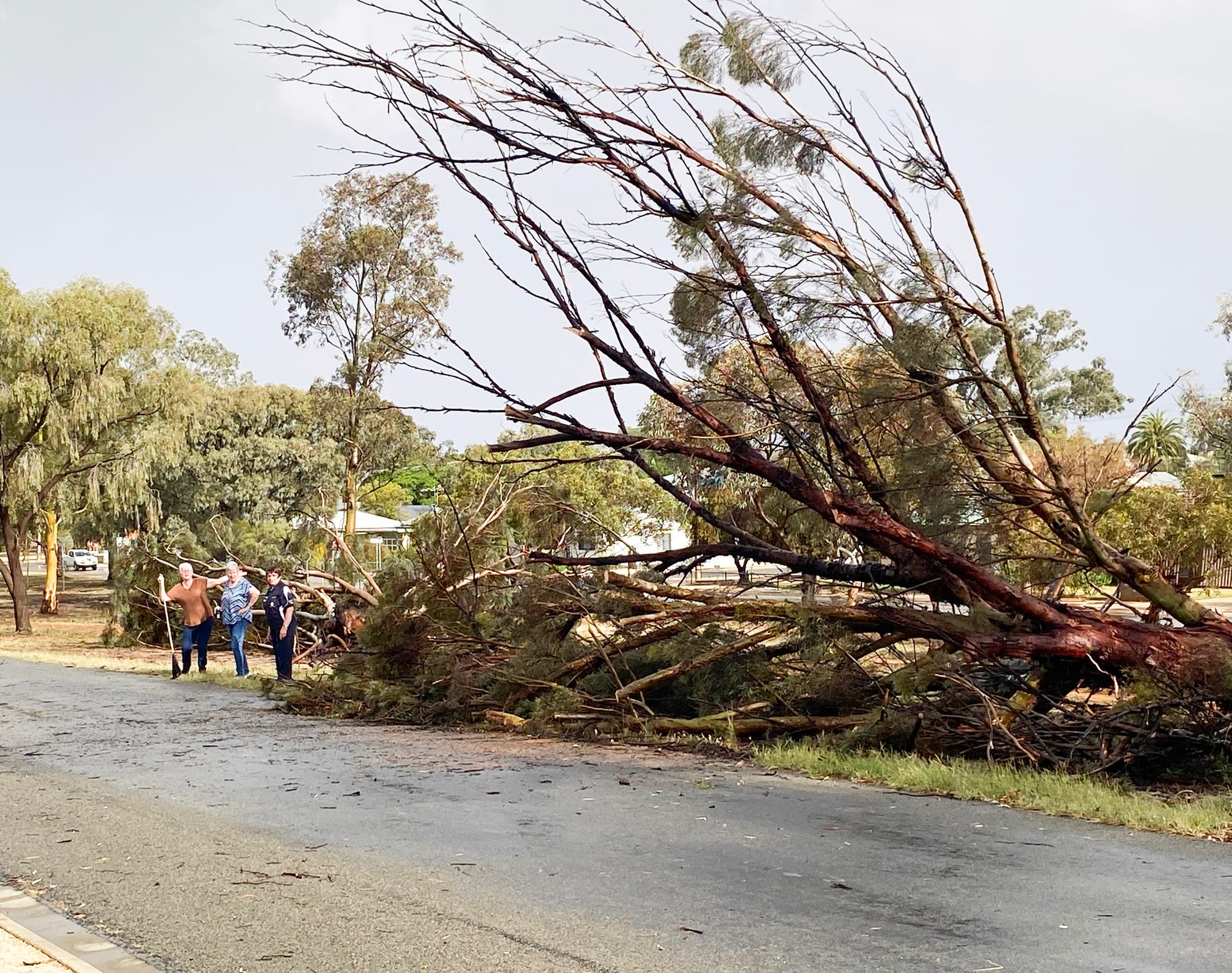 Missed storm calls prompt SES plea