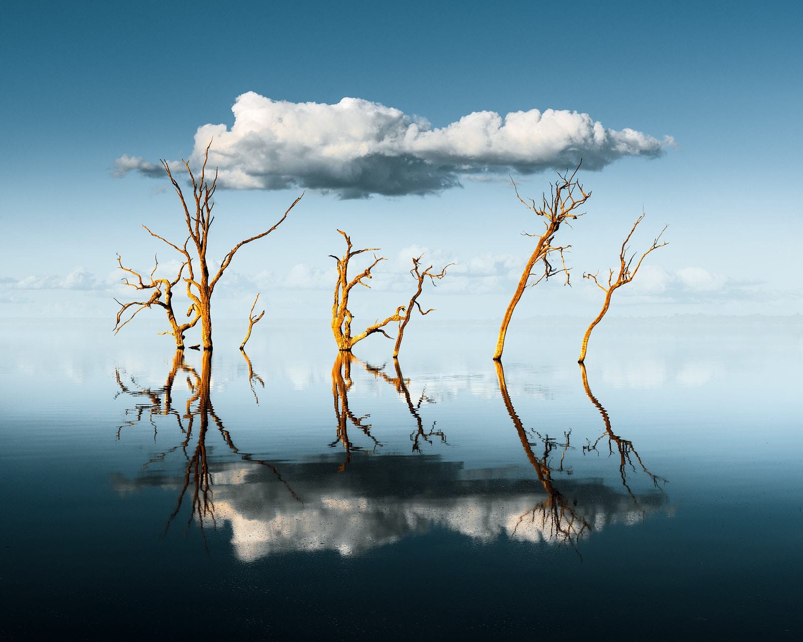 Lake shot wows photography judges
