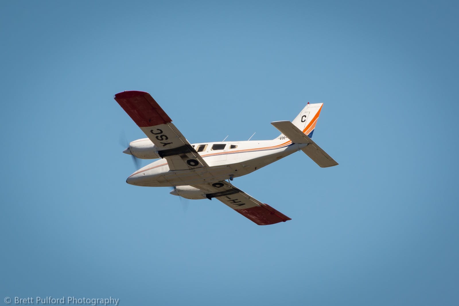Sterile fruit flies taking flight for Riverland