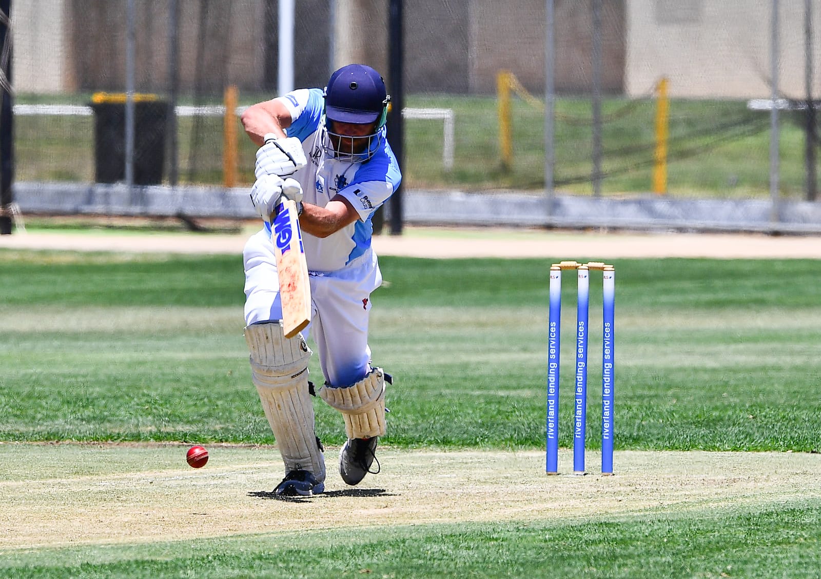Bluetongue batting masterclass secures the points