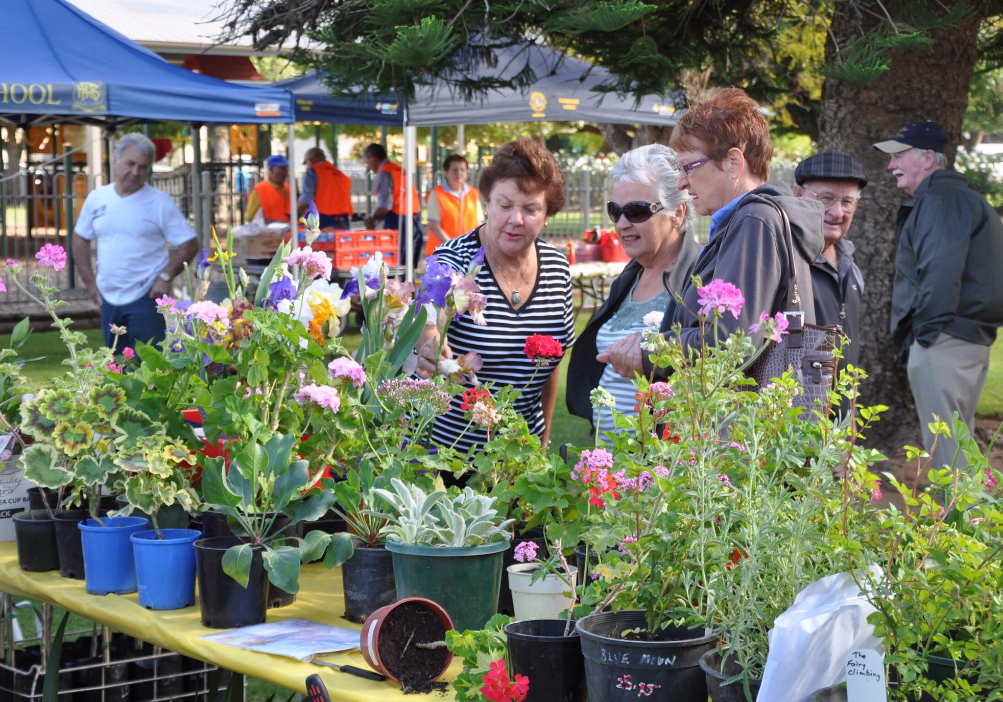 Got a Riverland Rose and Garden Festival event for 2022?