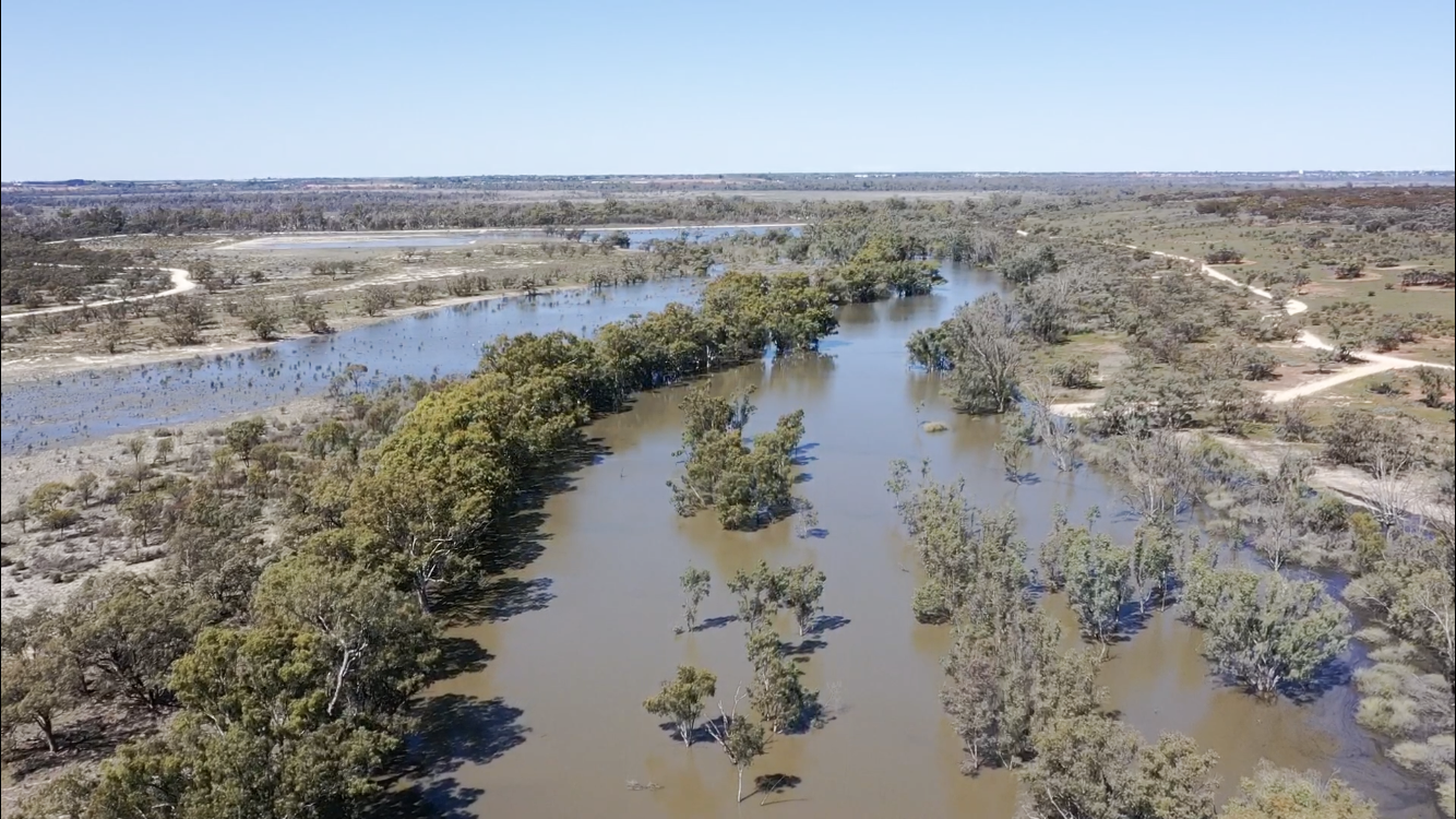 15 new Aboriginal rangers employed in SA
