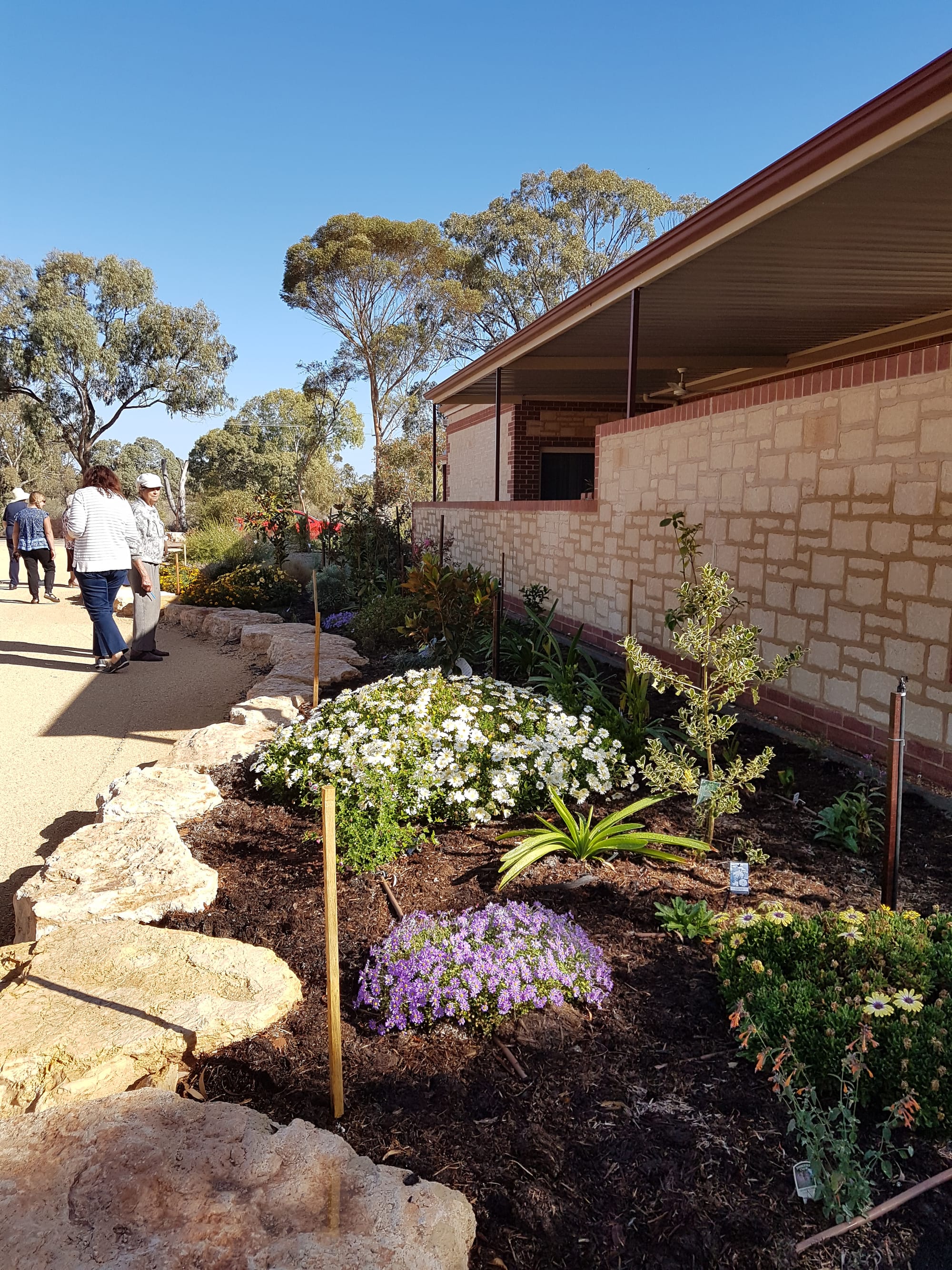Seeking open gardens for 2022 Rose Festival