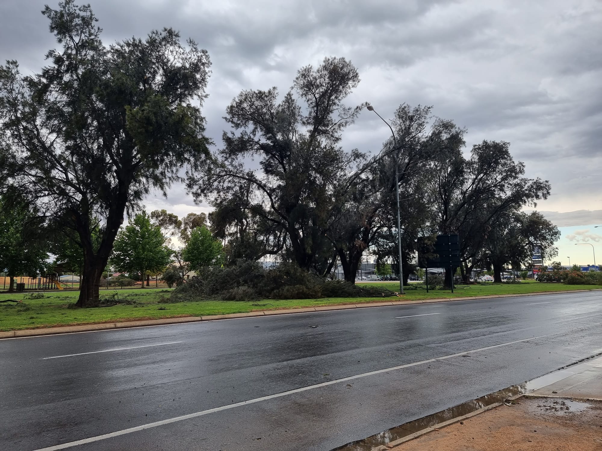Fallen trees along the Sturt Highway.