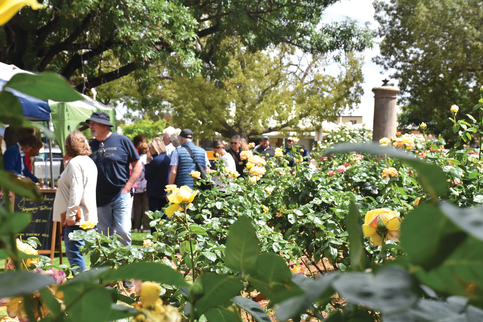 Our blooming good festival continues