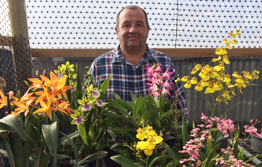 Orchid show set to return to Barmera