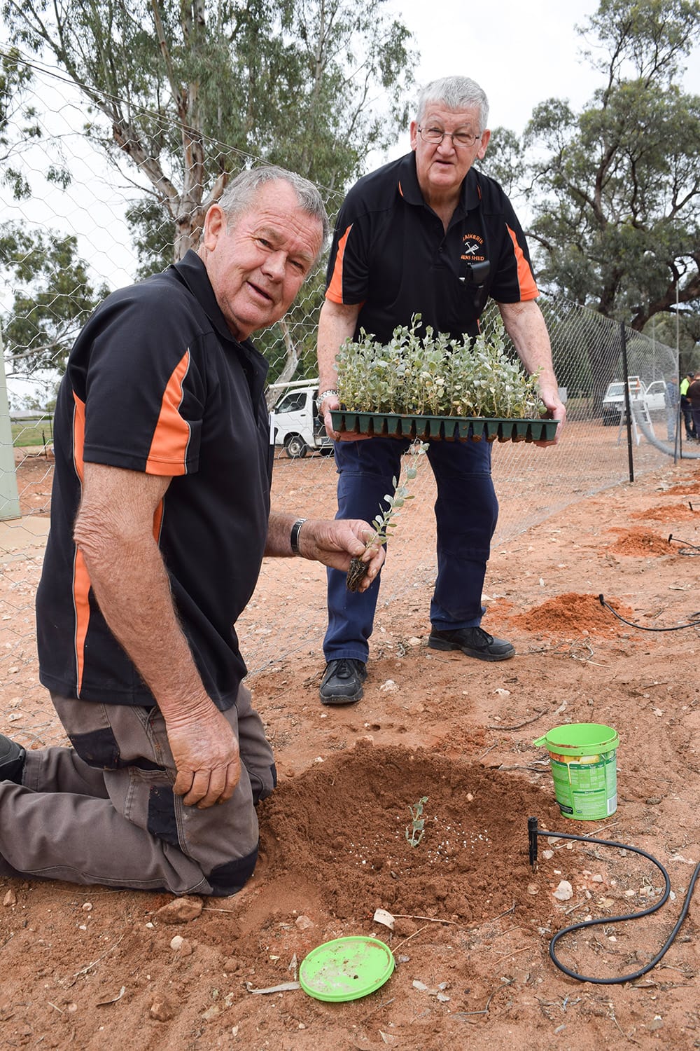 Waikerie Fauna Park blooms with saltbush