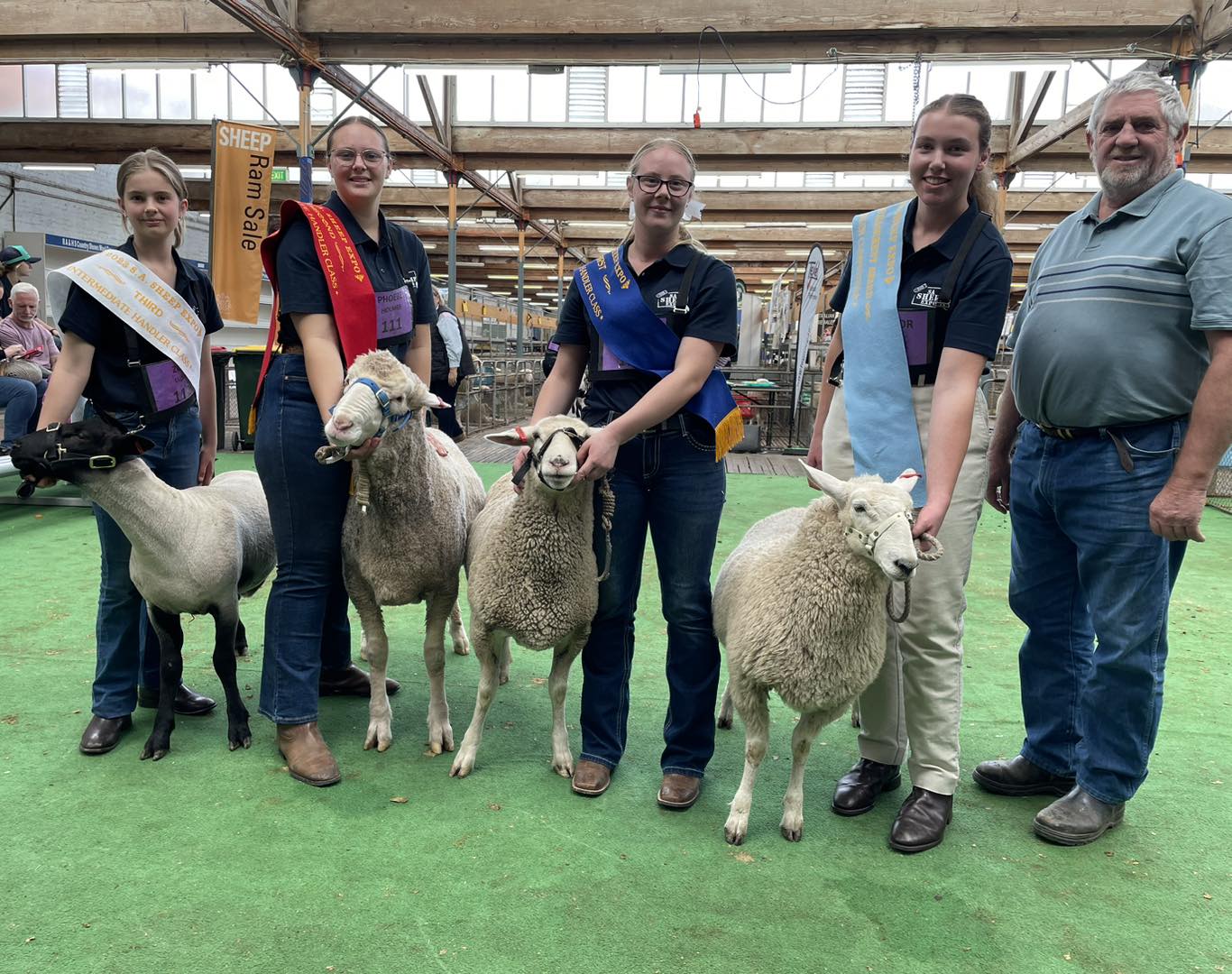 All’s wool that ends wool for RHS’s Phoebe