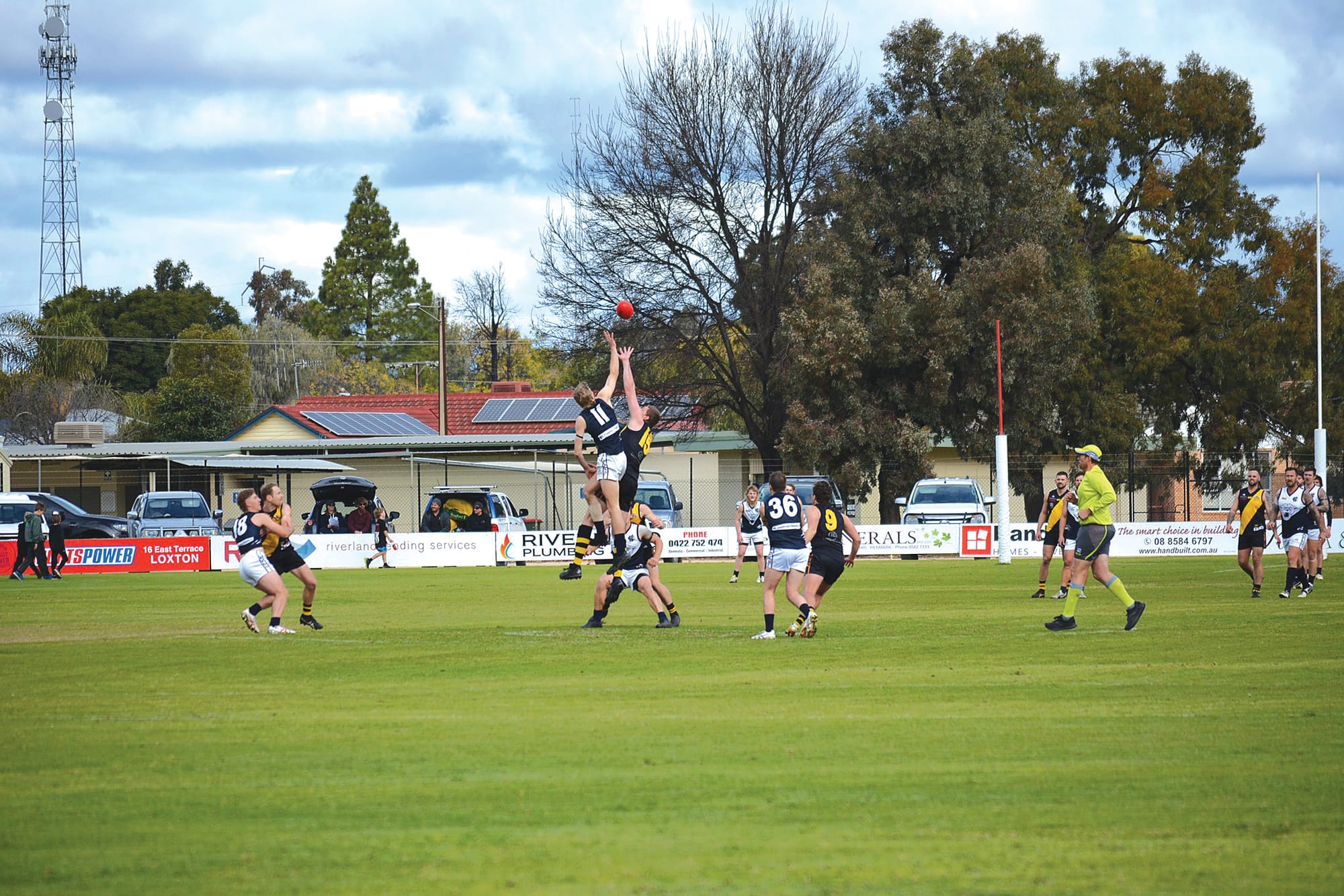 Tigers steal the show at home