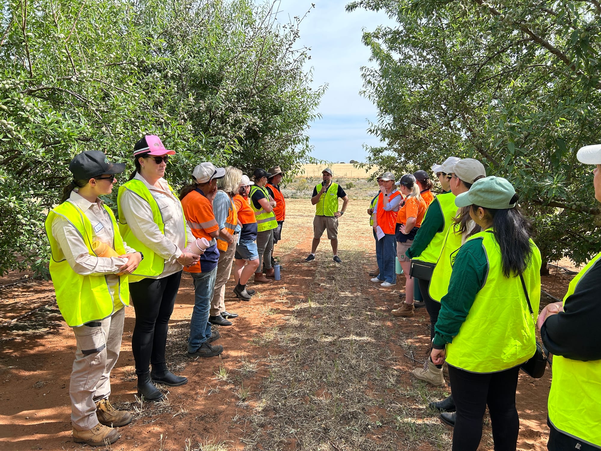 Women’s almond networking event in Loxton