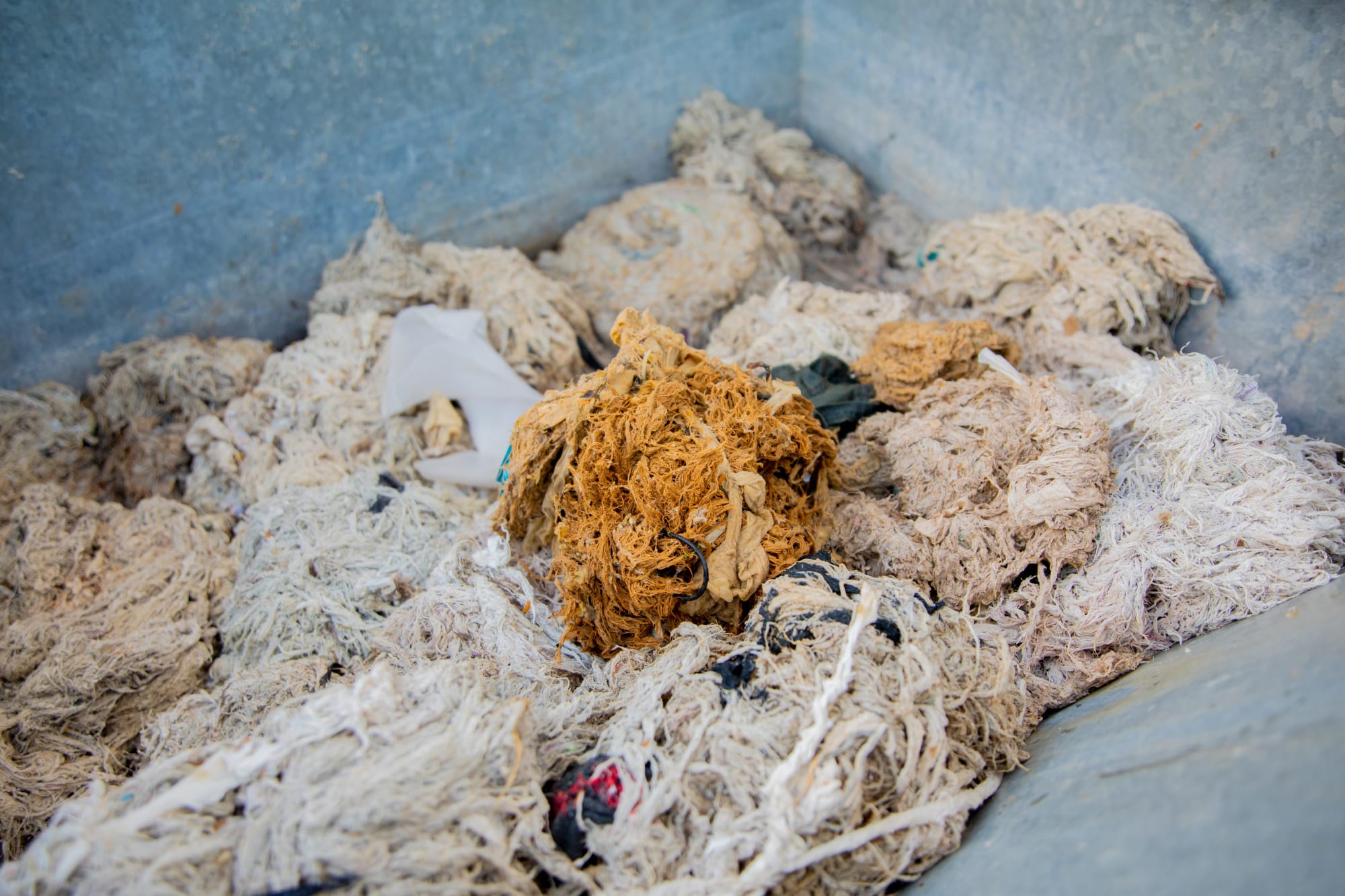 SA Water: We’re cleaning up ‘unflushables’