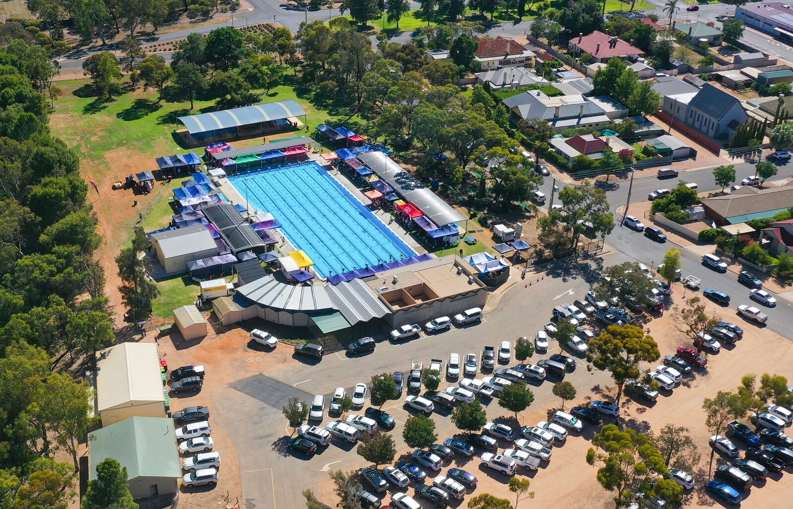 SA country’s best dive into new year