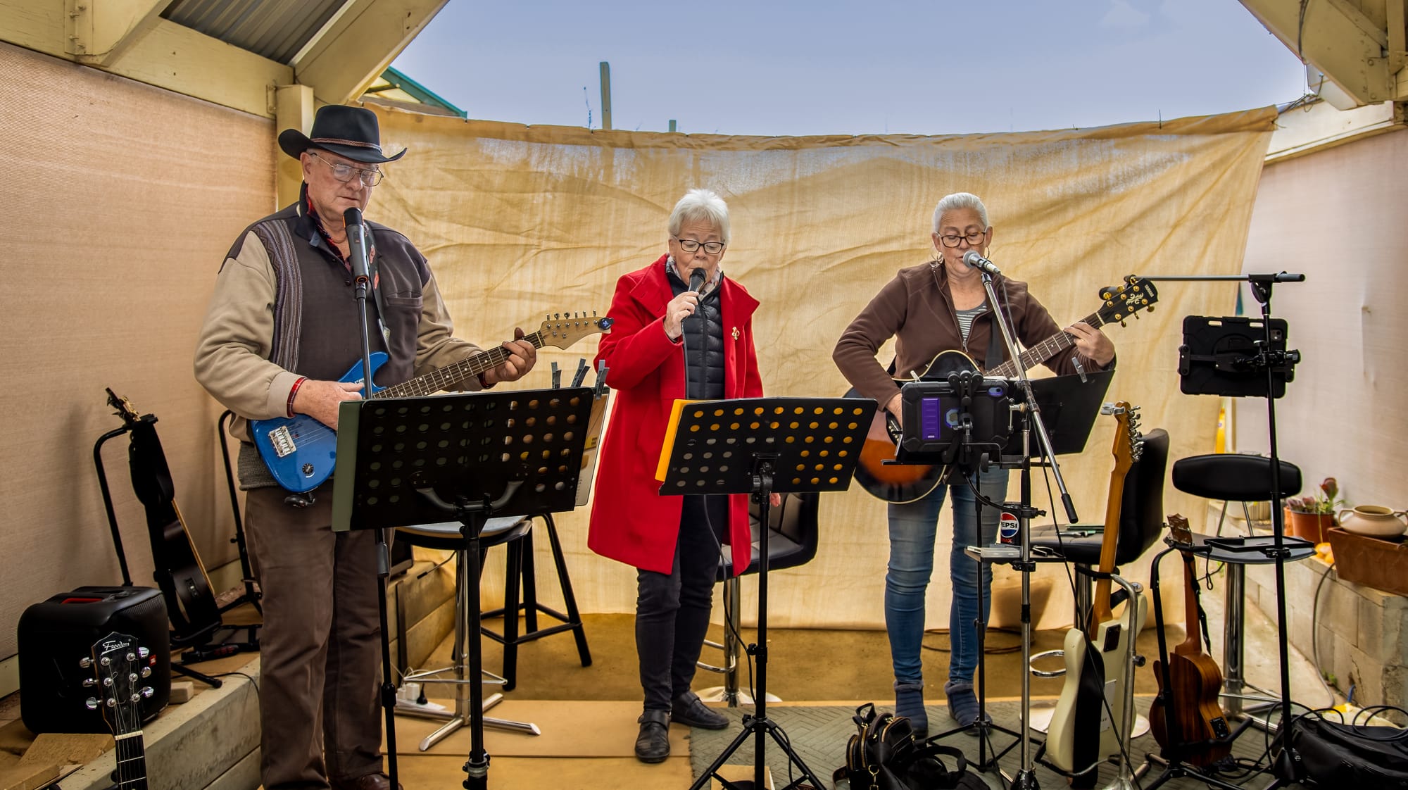 Music on the porch raises funds