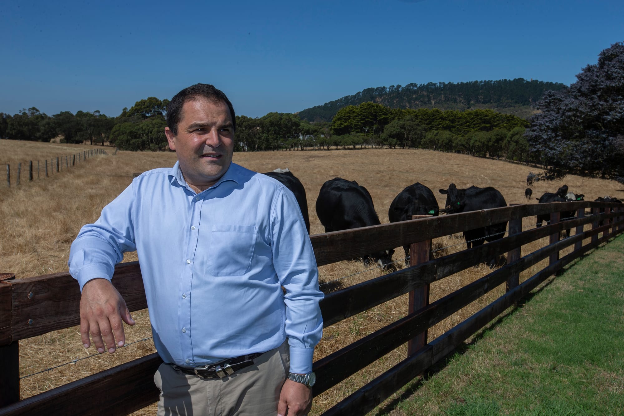 Labor axes regional grant funding project