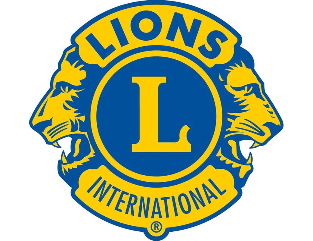 Lions taking a stance against domestic violence