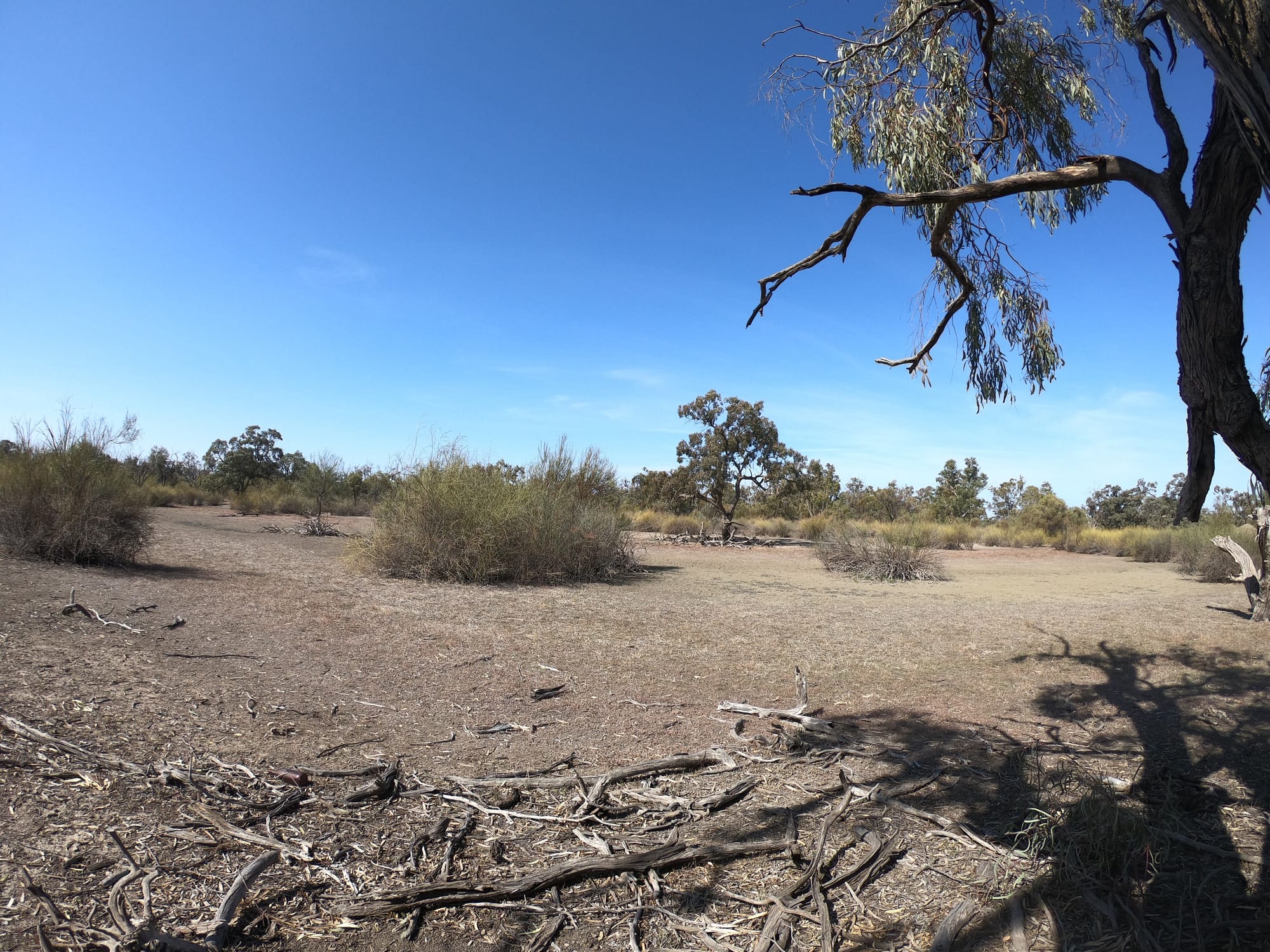 Floodplain watering to begin