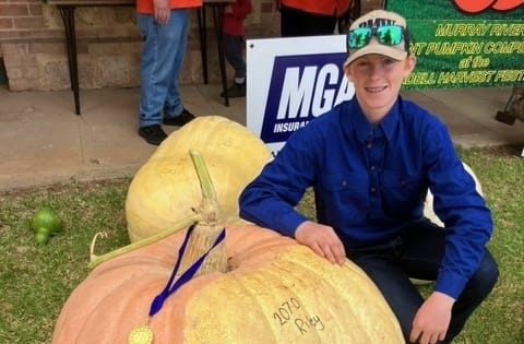 Youngsters show a knack for pumpkins