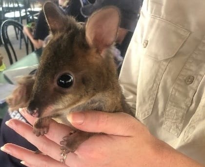 Young environmentalists visit local reserve