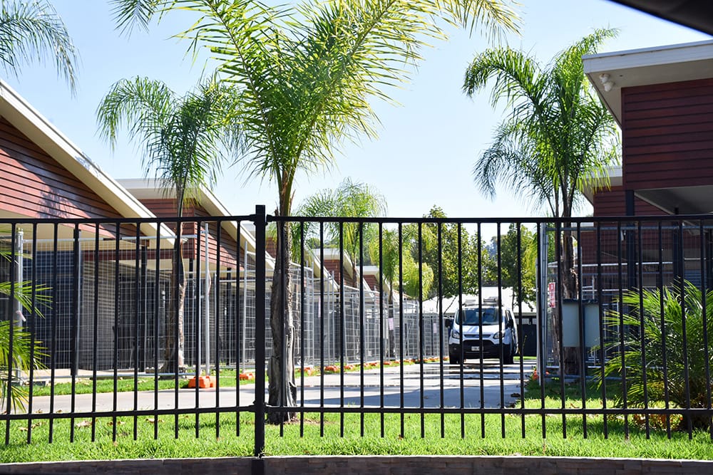 Town oval transformed for Pacific Island seasonal workers... PROJECT PARINGA