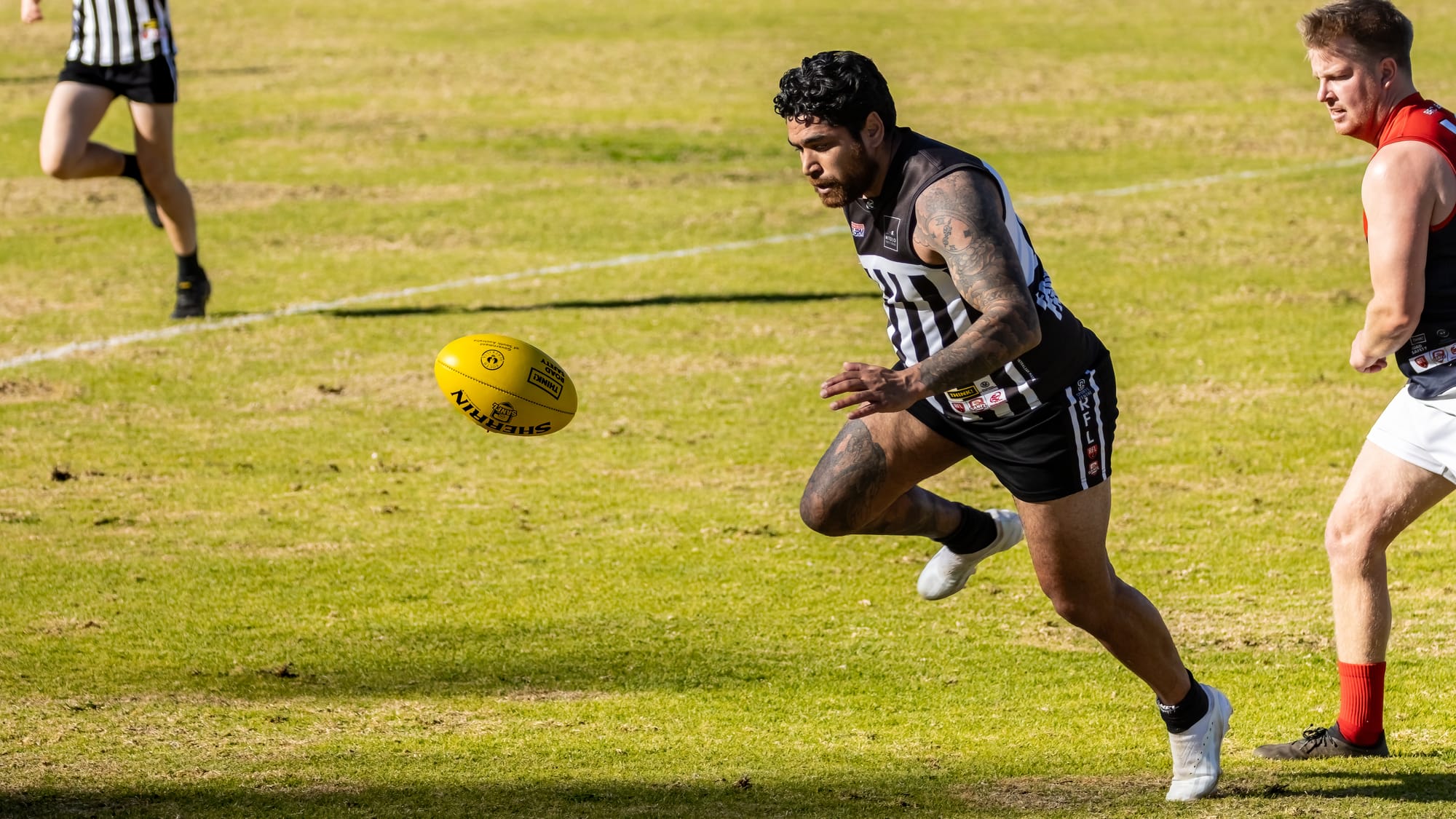 Waikerie waltz past depleted Demons